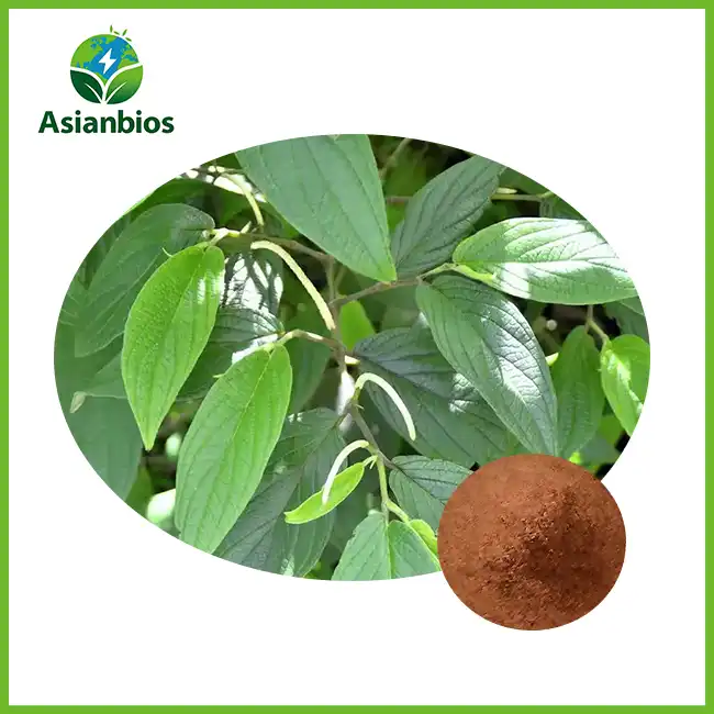 Eucommia Bark Extract powder Eucommia Bark Extract powder